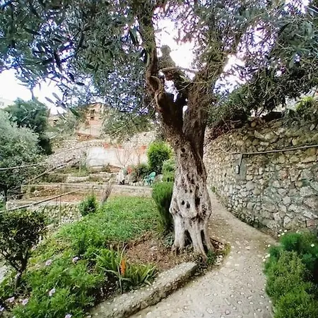 Sea Side Serenity 7 * Himarë