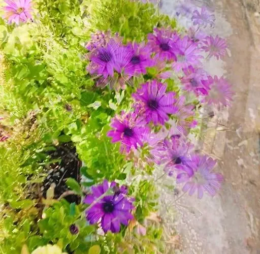 Sea Side Serenity 7 *