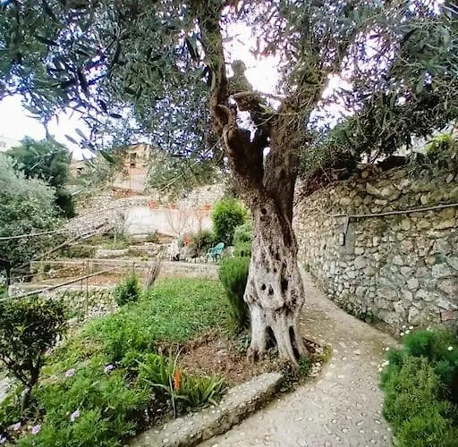 Sea Side Serenity 7 * Himarë