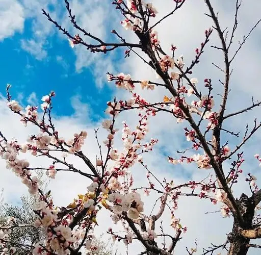 Apartment Sea Side Serenity 7 Himarë