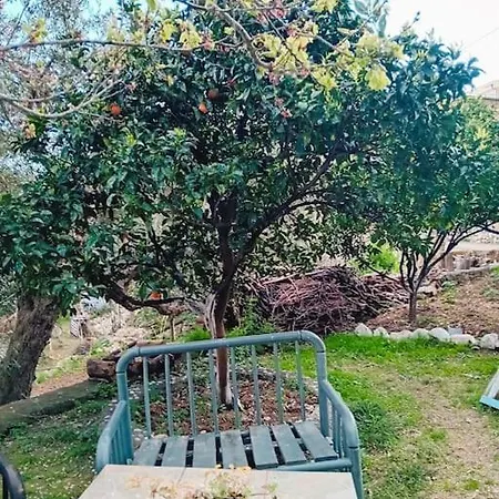 Sea Side Serenity 7