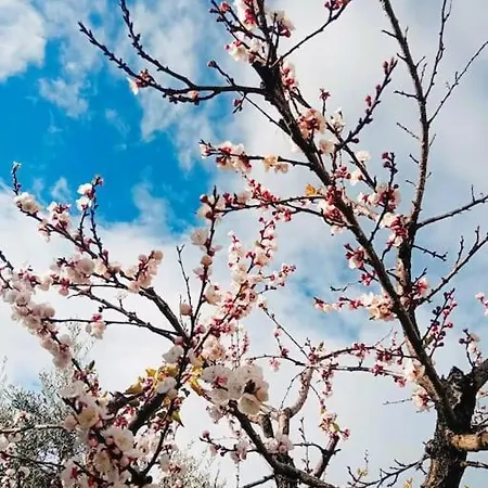Lägenhet Sea Side Serenity 7 Himare